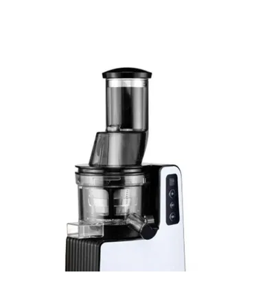 آبمیوه گیری دلمونتی dl270