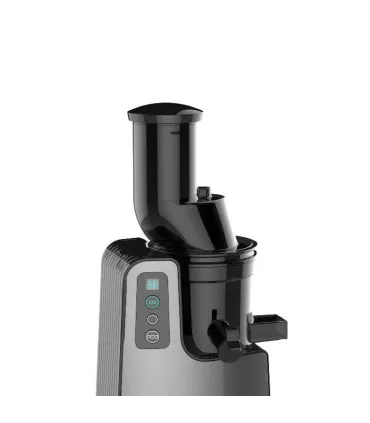 آبمیوه گیری دلمونتی dl270