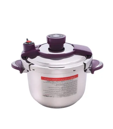 زودپز روگازی ناسا الکتریک NS-219